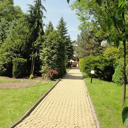 Jedlina