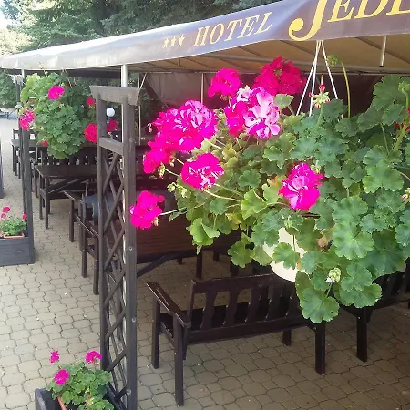 Jedlina Люблін