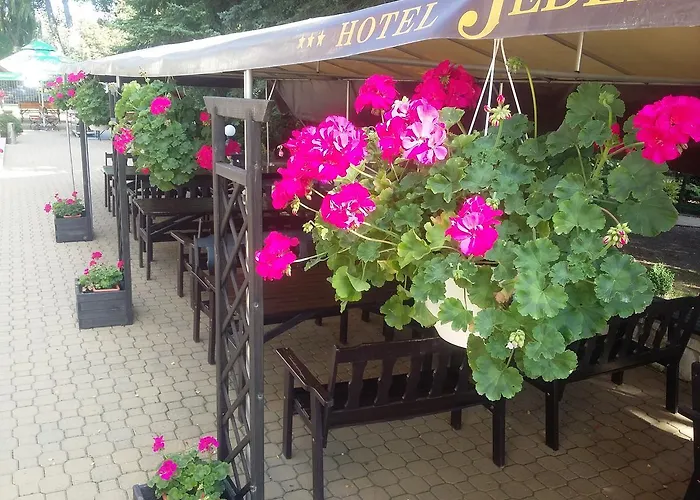 Jedlina Λούμπλιν